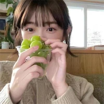 有顶天家族第一季